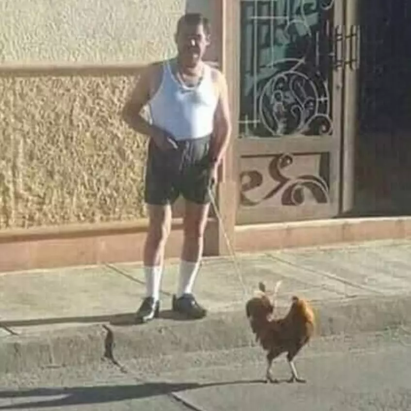 orang pelihara binatang © Instagram