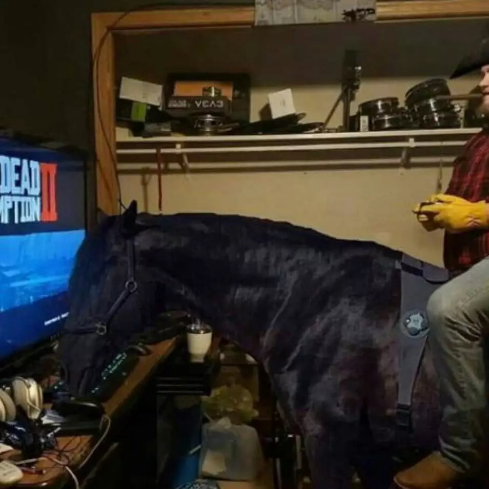 orang pelihara binatang © Instagram