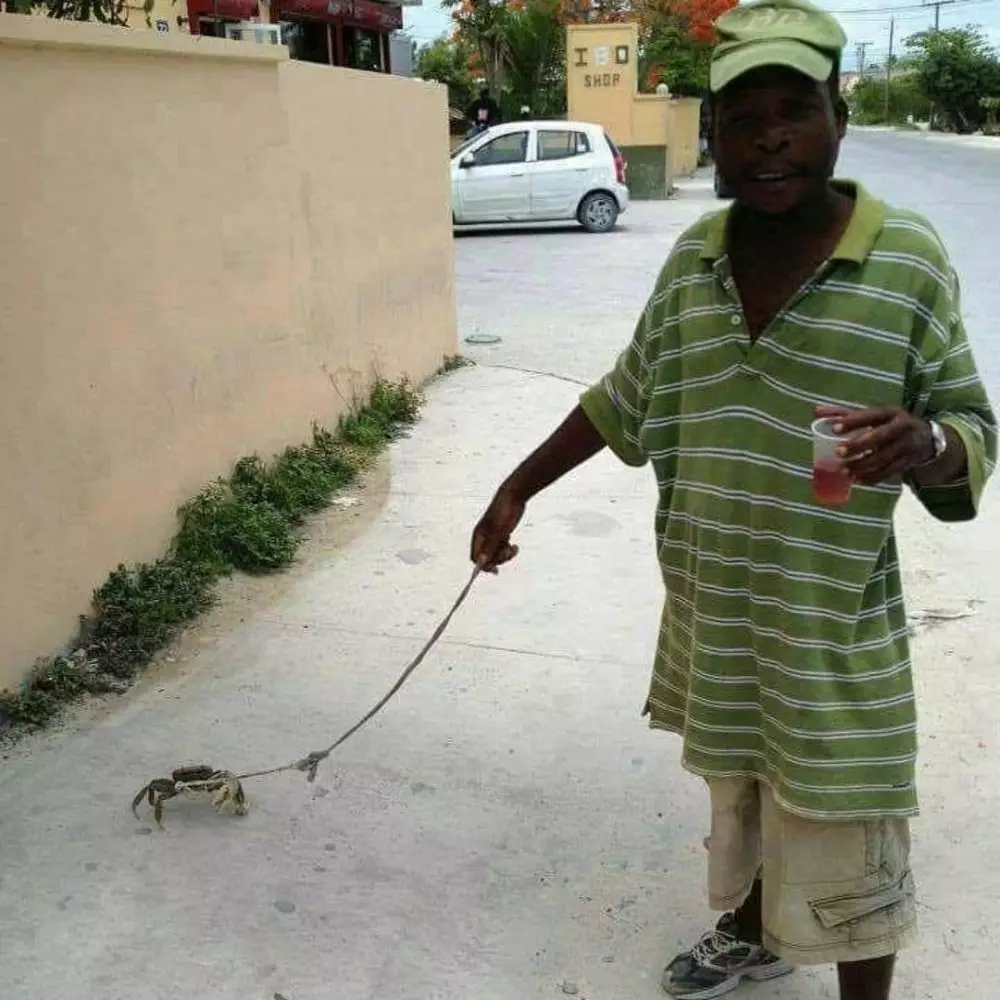 orang pelihara binatang © Instagram