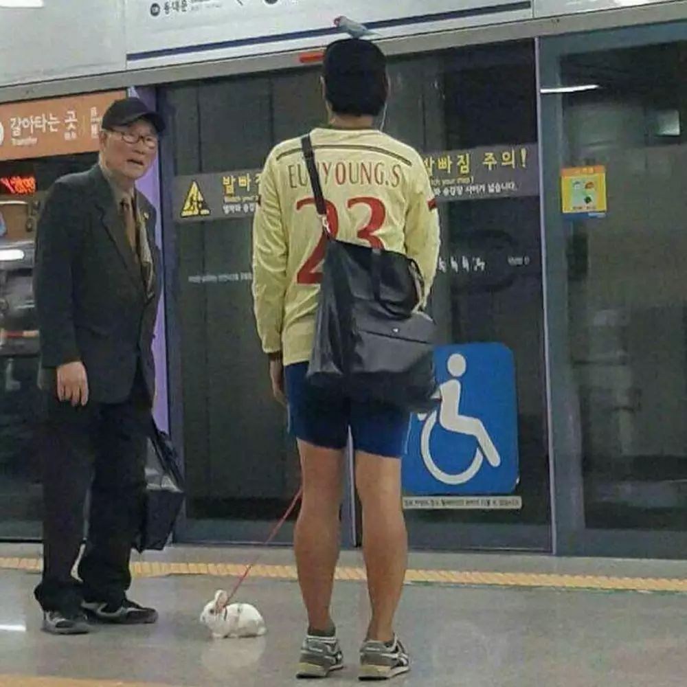 orang pelihara binatang © Instagram