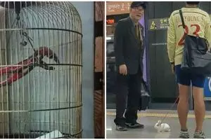 10 Aksi nyeleneh orang pelihara binatang bikin senyum tipis