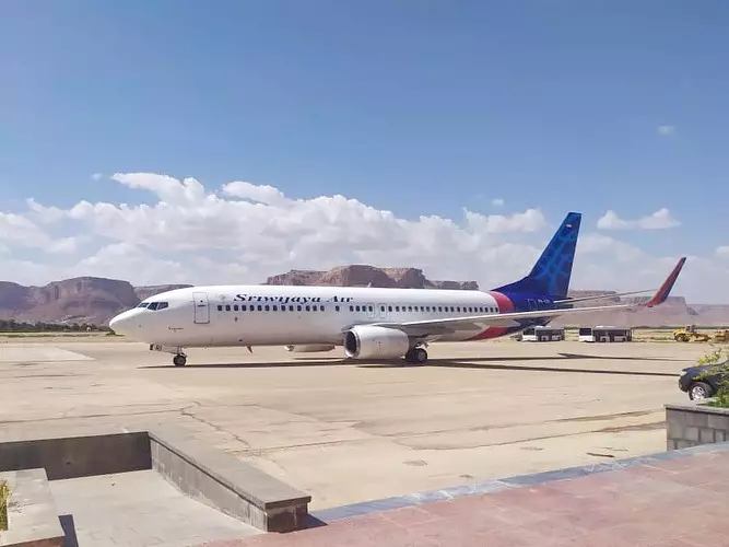 Fakta pesawat Sriwijaya Air SJ182 © merdeka.com & Instagram