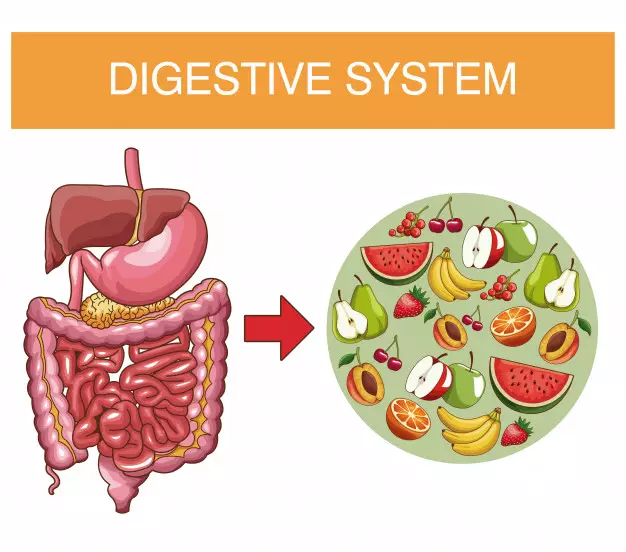 Manfaat labu siam untuk kesehatan © 2021 brilio.net