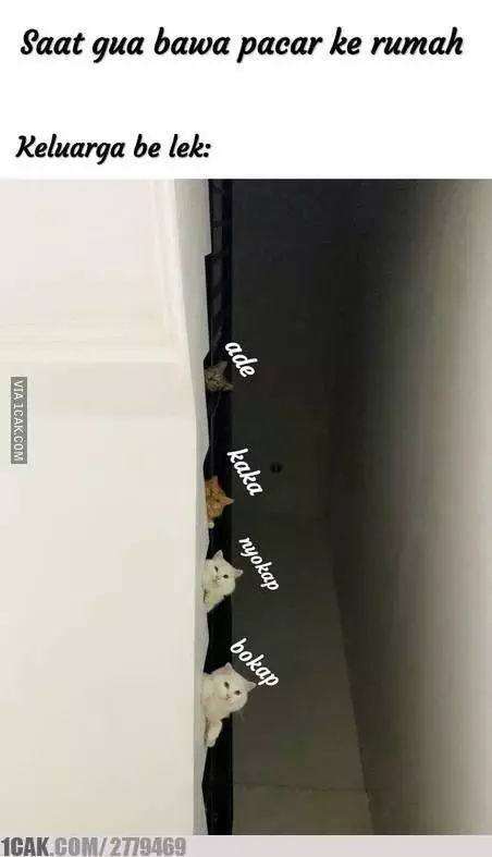 meme bawa pacar ke rumah Berbagai sumber meme bawa pacar ke rumah Berbagai sumber