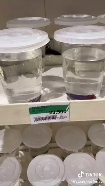 supermarket jualan ikan cupang Berbagai sumber supermarket jualan ikan cupang Berbagai sumber