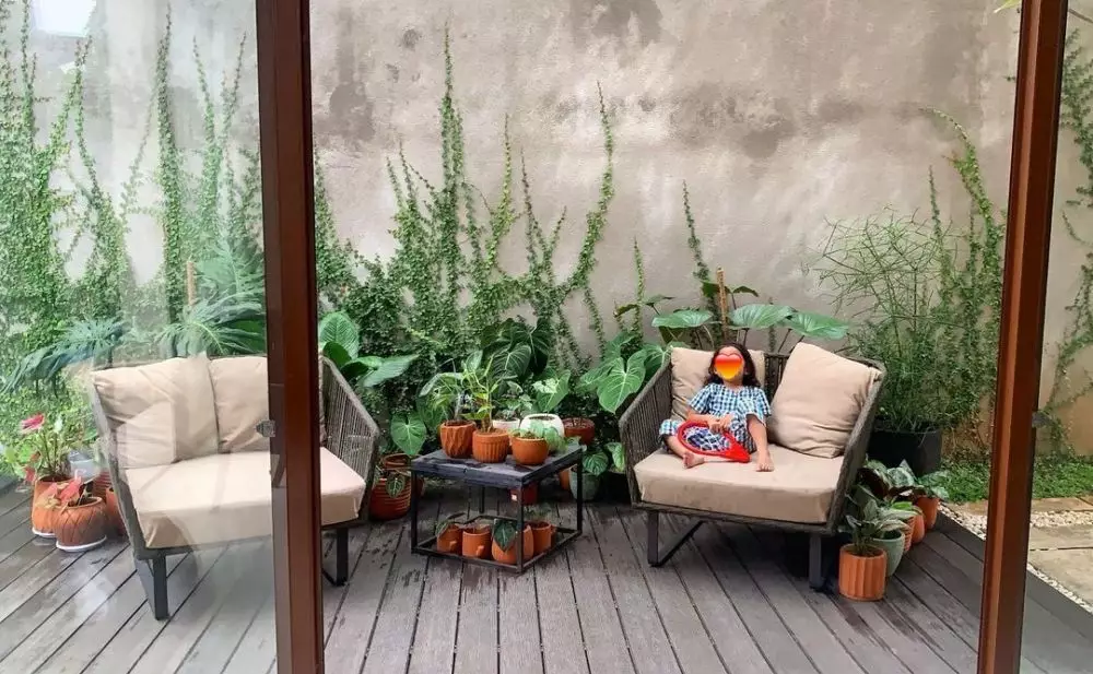 koleksi tanaman meisya siregar © Instagram