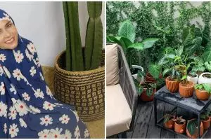 10 Potret koleksi tanaman hias Meisya Siregar, rumah jadi kian asri