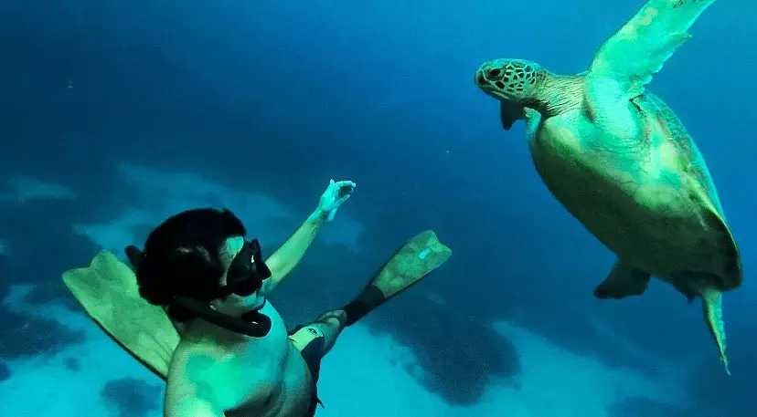 cerita seleb hobi diving © Instagram