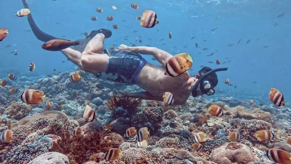 cerita seleb hobi diving © Instagram