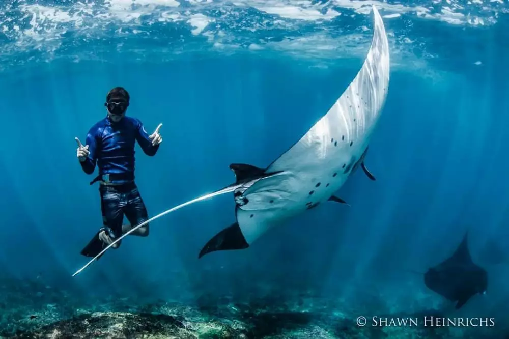 cerita seleb hobi diving © Instagram