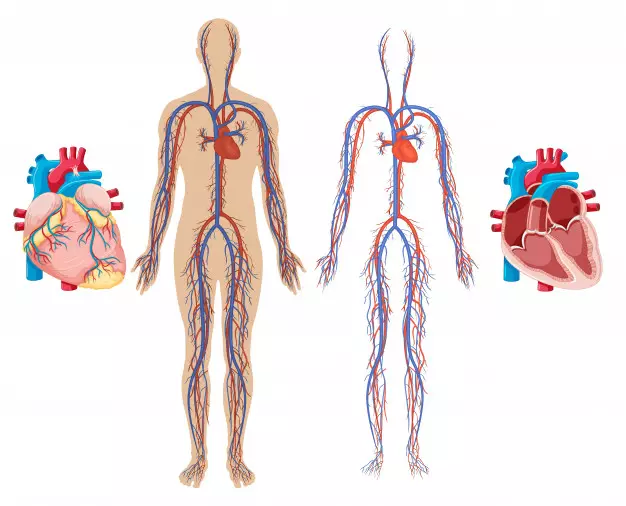 Manfaat jamur tiram untuk kesehatan © 2021 brilio.net