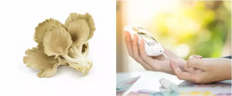 10 Manfaat jamur tiram untuk kesehatan, dapat mencegah diabetes