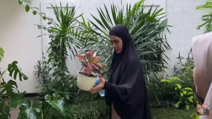 tanaman Kartika Putri © Instagram