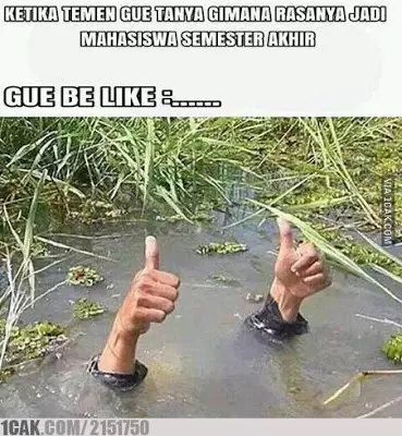 meme pertanyaan mahasiswa akhir Berbagai sumber