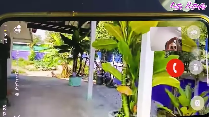 rumah dj butterfly di thailand © Berbagai Sumber