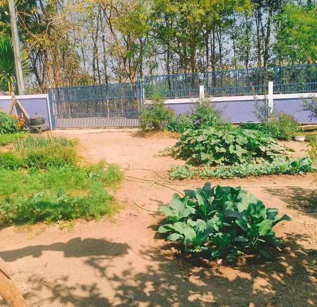 rumah dj butterfly di thailand © Berbagai Sumber