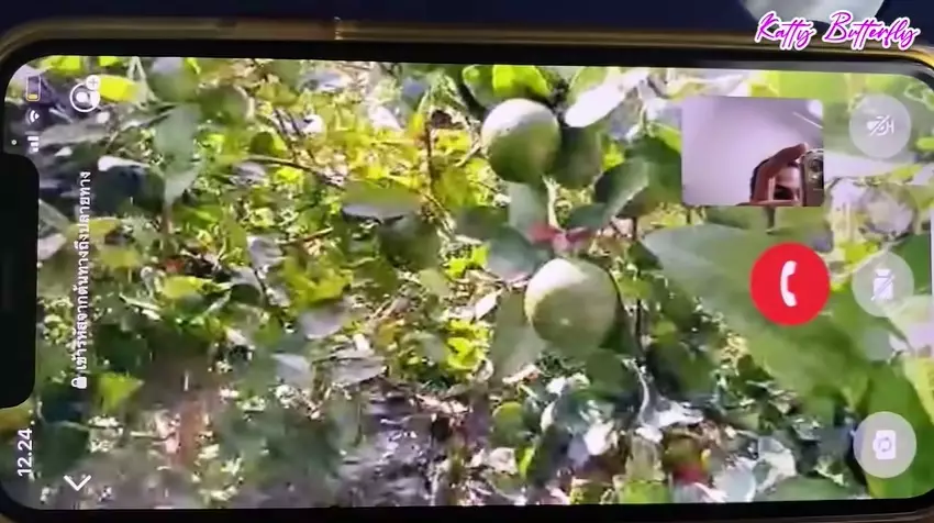 rumah dj butterfly di thailand © Berbagai Sumber