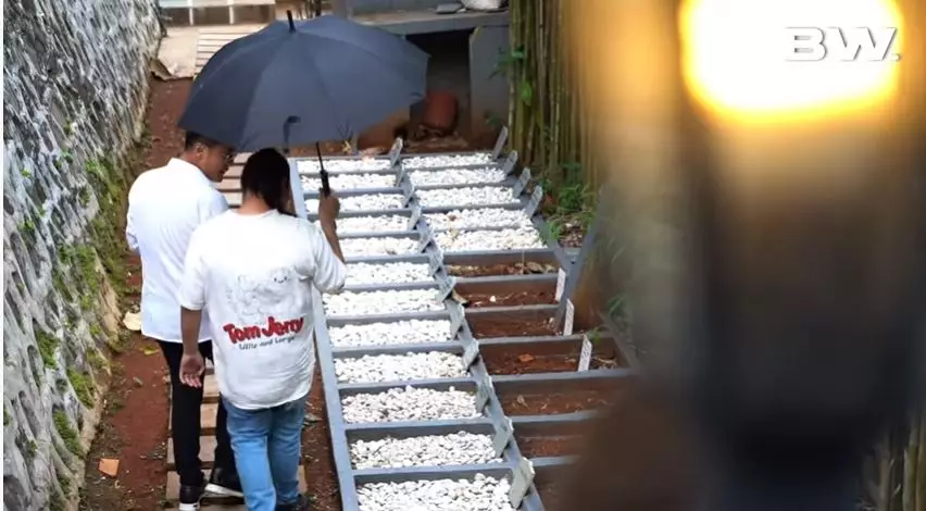 fasilitas rumah aleta molly © YouTube