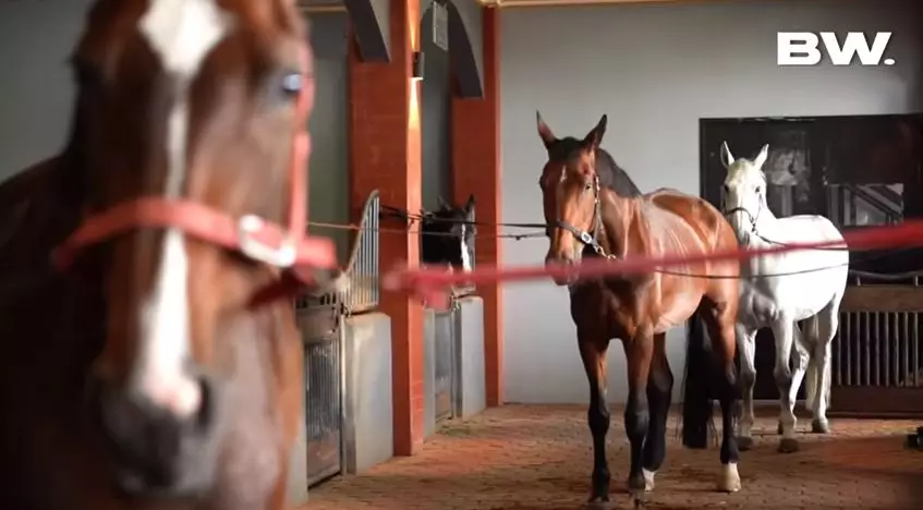 fasilitas rumah aleta molly © YouTube