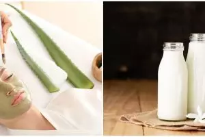 Cara membuat masker lidah buaya campur susu, mudah dan praktis