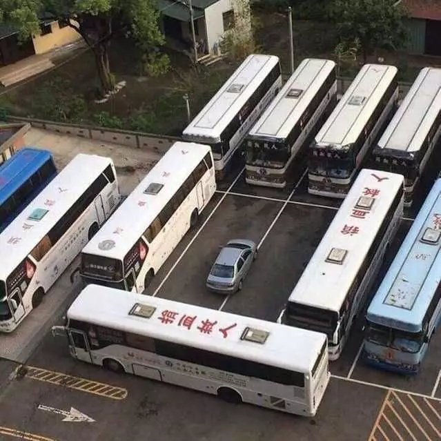 momen apes karena parkir sembarangan Berbagai sumber