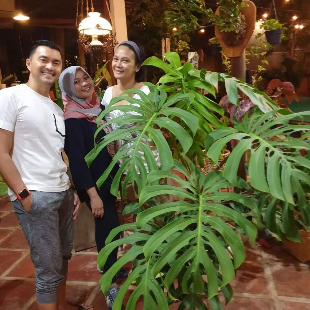 Potret koleksi tanaman Dian Nitami Instagram