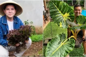 6 Seleb pria gemar berkebun, ada yang jadi petani kota saat PSBB