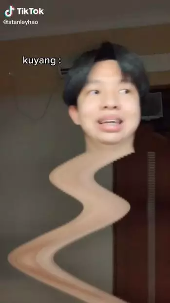 potret absurd gunakan filter TikTok TikTok