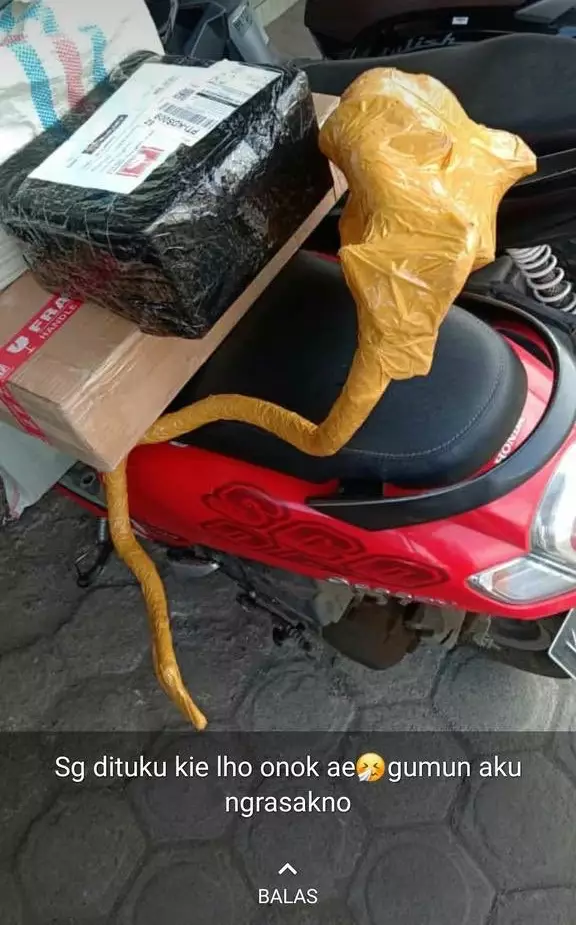 bungkusan paket © berbagai sumber bungkusan paket © berbagai sumber