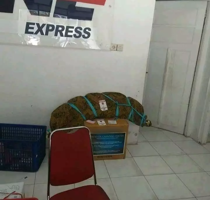 bungkusan paket © berbagai sumber bungkusan paket © berbagai sumber