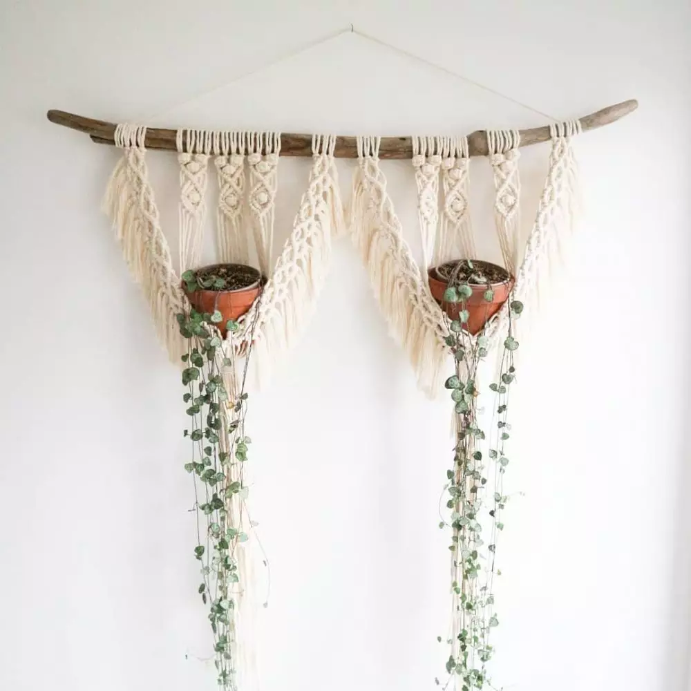 tanaman gantung indoor © Instagram tanaman gantung indoor © Instagram