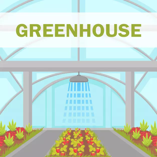 Cara menanam dan merawat hidroponik cabe pexels; freepik; pixabay © 2021 brilio.net Cara menanam dan merawat hidroponik cabe pexels; freepik; pixabay © 2021 brilio.net