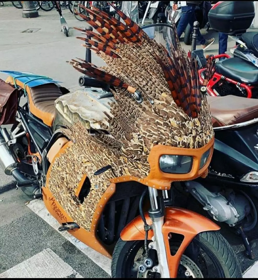 motor berbulu Instagram