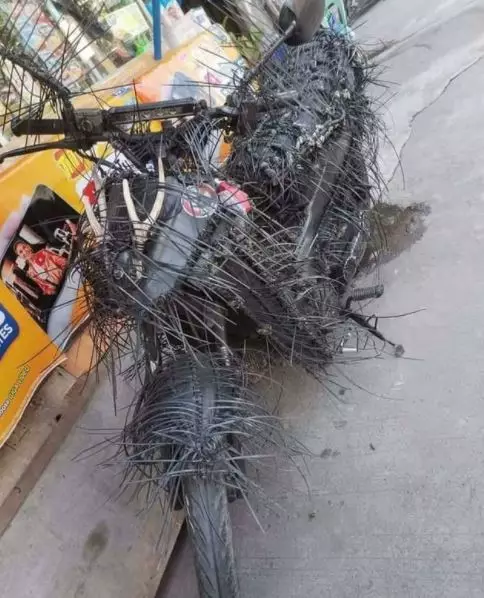 motor berbulu Instagram