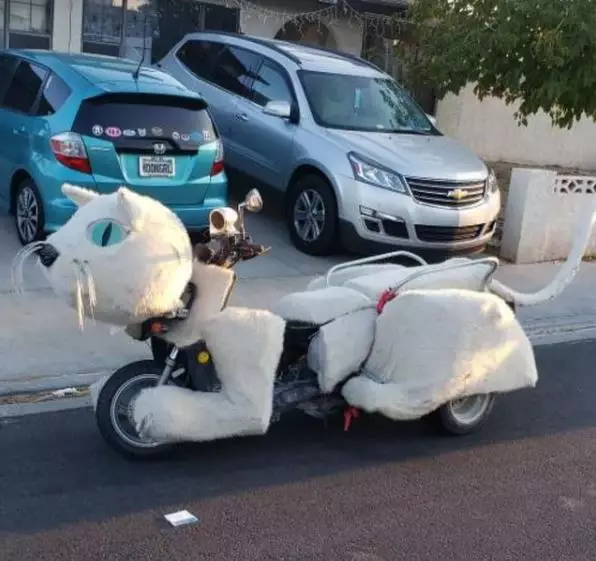 motor berbulu Instagram