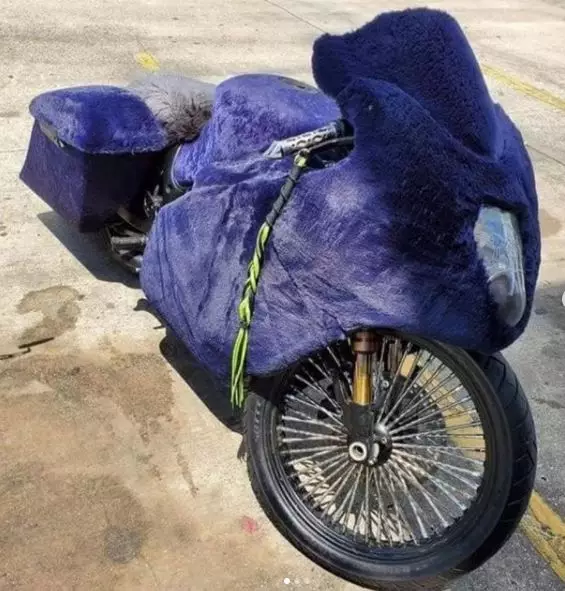 motor berbulu Instagram