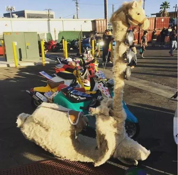 motor berbulu Instagram