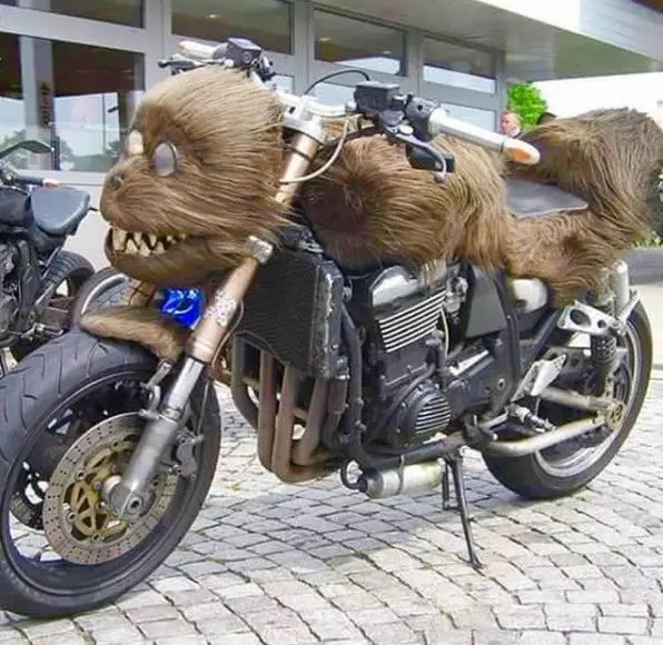 motor berbulu Instagram