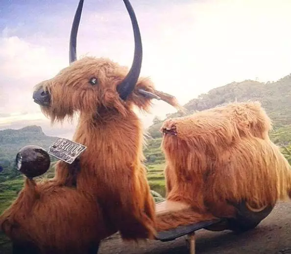 motor berbulu Instagram