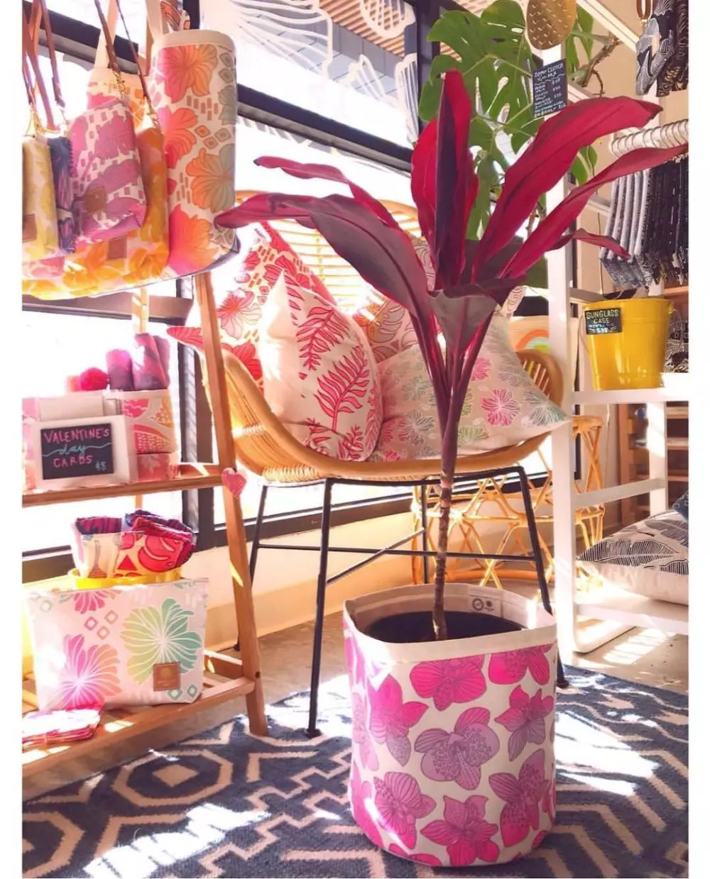 tanaman hias daun ungu © Instagram