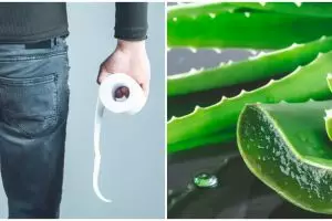 6 Tanaman obat ambeien yang ampuh dan mudah dibudidayakan