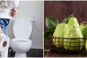 7 Tanaman obat diare, alami, ampuh, dan mudah dibuat