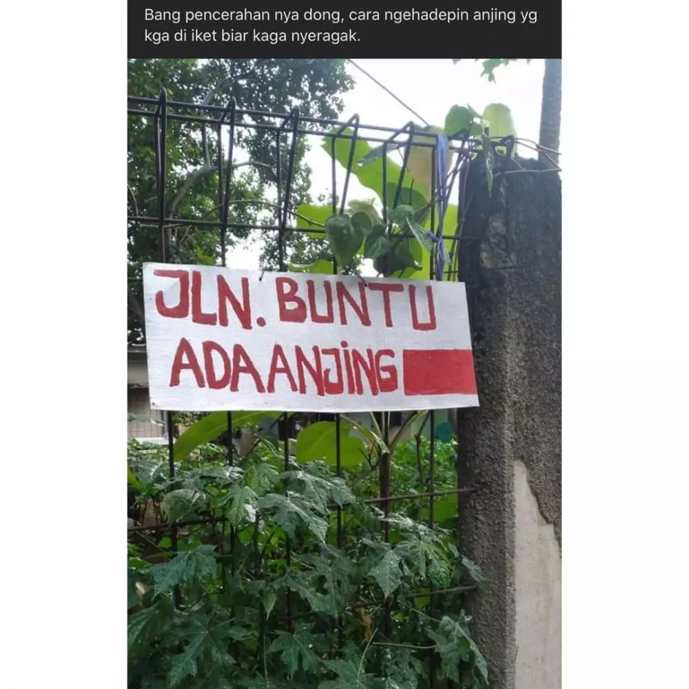 Pengumuman kurir dan ojol © Twitter