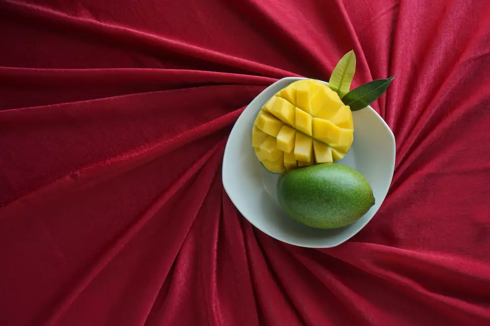 Modal HP, ini 7 rahasia foto makanan menggugah selera ala foodgram berbagai sumber Modal HP, ini 7 rahasia foto makanan menggugah selera ala foodgram berbagai sumber