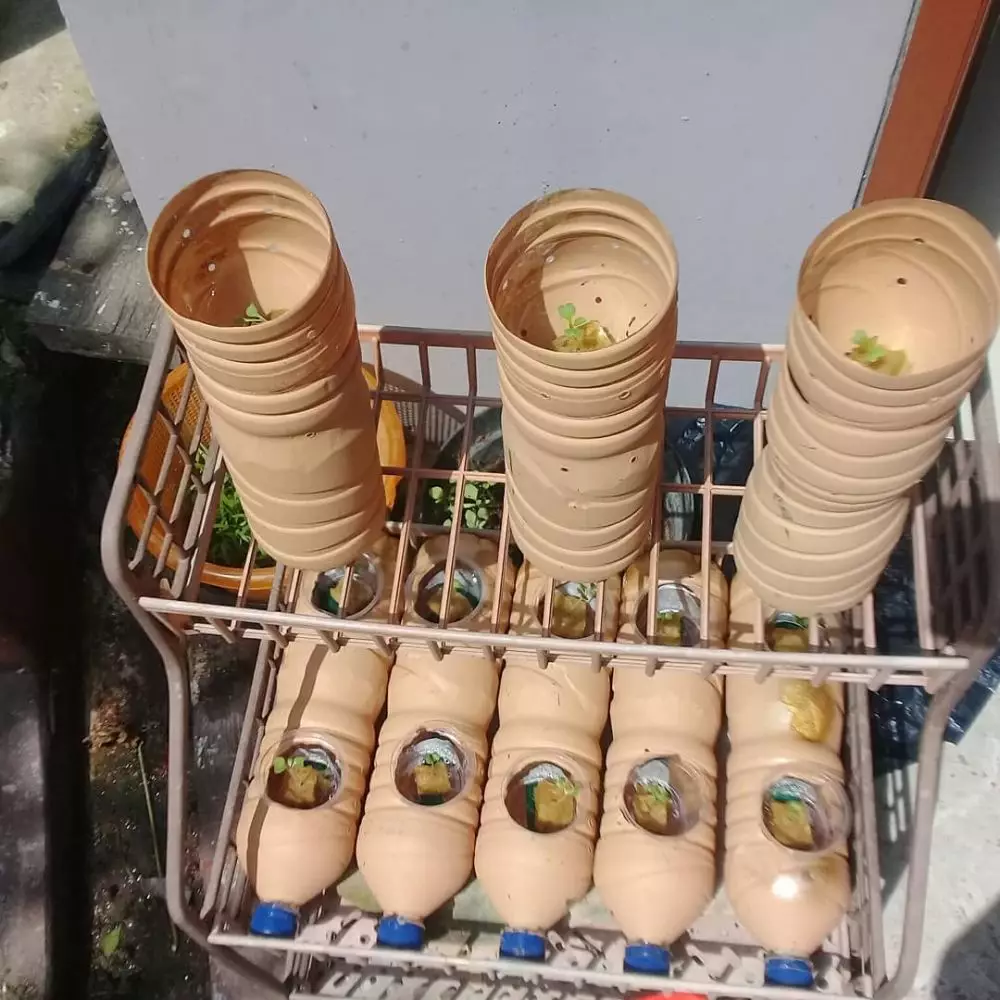 Cara menanam tanaman hidroponik Instagram, freepik © 2021 brilio.net