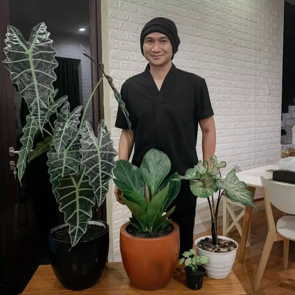 Perjuangan seleb dari Covid-19 © 2021 brilio.net