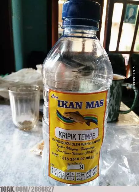 Tulisan di kemasan tempe © berbagai sumber Tulisan di kemasan tempe © berbagai sumber