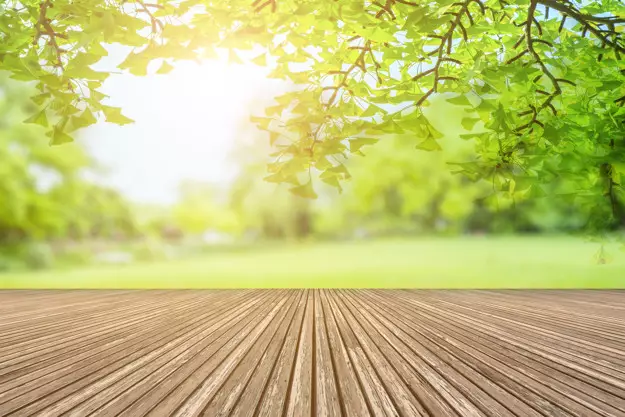 Cara merawat bunga aglonema lipstik © freepik.com Cara merawat bunga aglonema lipstik © freepik.com