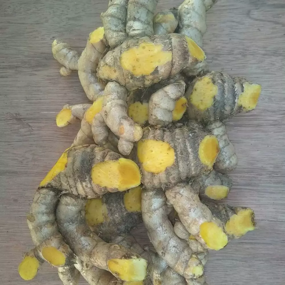 Jenis tanaman obat jenis Freepik, Instagram © 2021 brilio.net Jenis tanaman obat jenis Freepik, Instagram © 2021 brilio.net