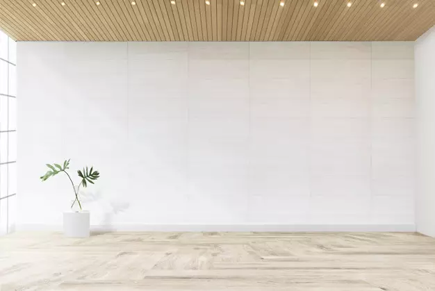 Manfaat bunga aglonema di rumah © Istimewa